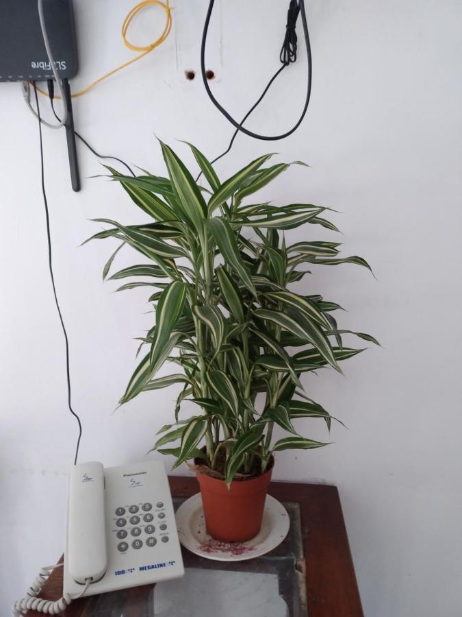 Holly House Homestay Ella Esterno foto