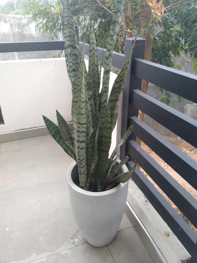 Holly House Homestay Ella Esterno foto